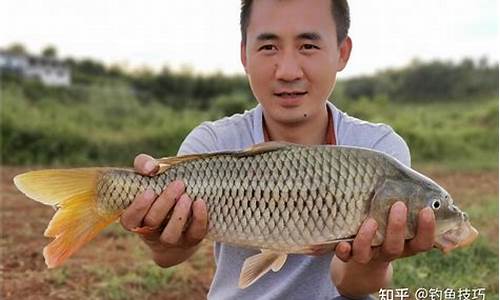 10月釣鯉魚(yú)用什么餌料(10月釣鯉魚(yú)用什