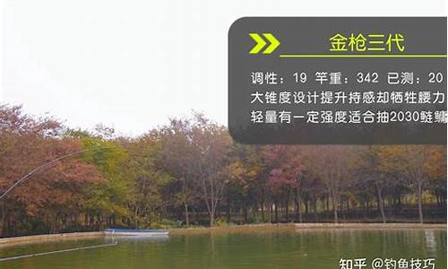 2025最好用的釣魚(yú)小藥(2025最好用