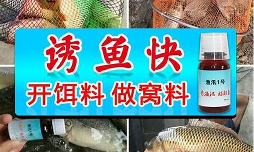 177釣魚小藥效果怎么樣(177釣魚小藥