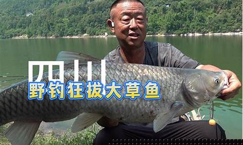 2025李大毛巴河釣魚視頻(李大毛巴河垂