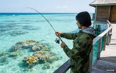 棗形漂適合野釣小鯽魚嗎