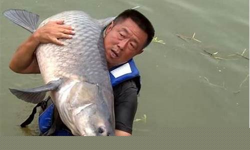 2025李大毛钓鱼视频全集(2025李大毛钓鱼视频全集)(pic1)