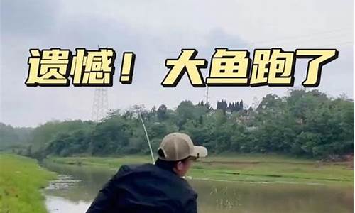 钓鱼视频野钓短线(钓鱼视频野钓短线怎么钓)(pic1)