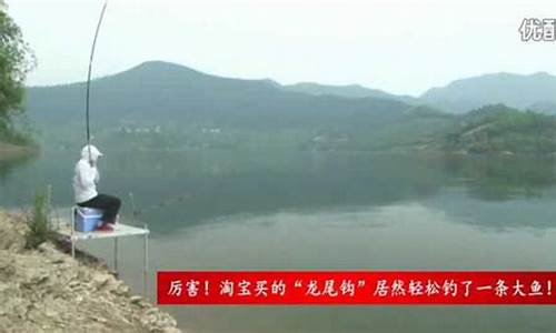 钓鱼视频野钓鲫鱼实战(钓鱼视频野钓鲫鱼实战视频大全)(pic1)