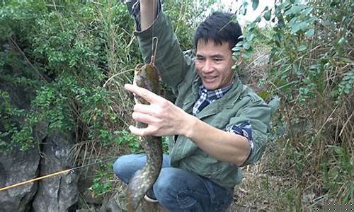 壮乡小莫钓鱼视频全部(壮乡小莫钓鱼的视频)(pic1)