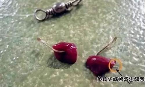 饵料挂钩视频教程(方块饵料挂钩视频教程)(pic1)