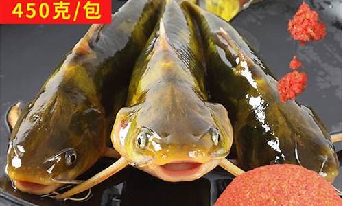 钓黄颡鱼饵料(钓黄颡鱼饵料黄辣丁黄骨鱼饵野钓专用昂刺黄诱饵小药窝)(pic1)