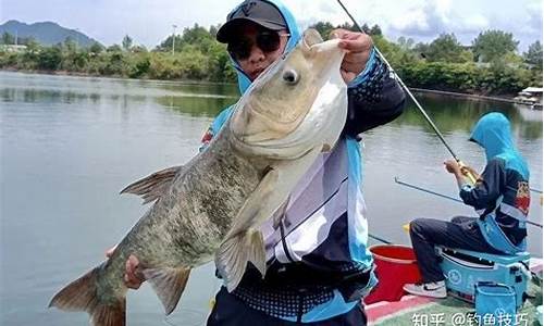 钓鱼技巧野钓鲢鱼在线(钓鱼技巧野钓鲢鱼在线视频)(pic1)