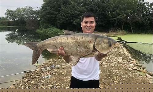 鲢鳙钓鱼技巧(鲢鳙钓鱼技巧分享)(pic1)