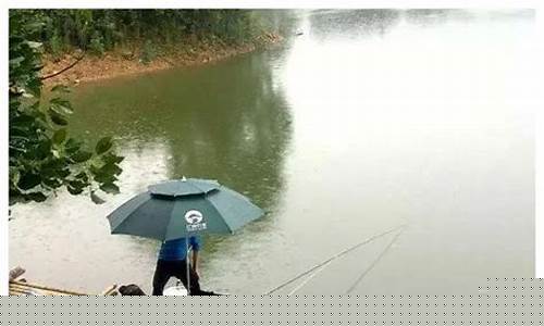 雨天钓鱼技巧图(雨天钓鱼技巧图解)(pic1)