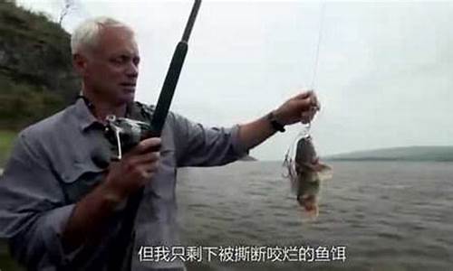外国海钓鱼视频(外国海钓鱼视频大全)(pic1)