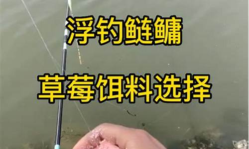 鲢鳙饵料怎么配(鲢鳙饵料怎么配制)