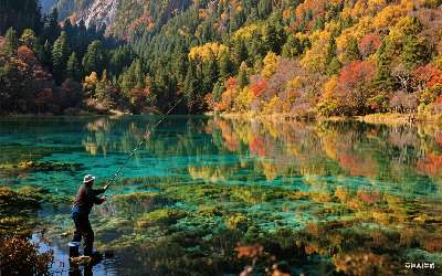 穿透王水剂怎么样效果好吗知乎最新(穿透王的口水剂有效果吗)(pic1)