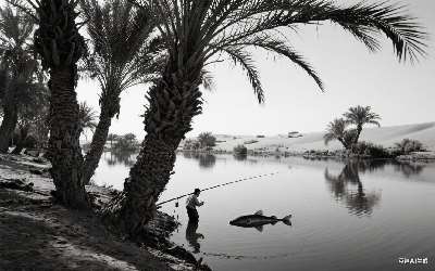 穿透王小药使用心得笔记最新(穿透王小药到底有没有用)(pic1)