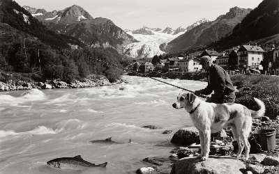 鲫鱼调钓(鲫鱼调钓最佳)(pic1)