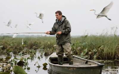 穿透王进口小药是什么药(穿透王进口小药是什么药名)(pic1)