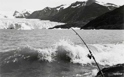 穿透王哪个小药好用推荐吗最好(穿透王哪款小药效果最好)
