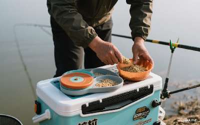 穿透王的药效与作用副作用(穿透王的药效与作用副作用是什么)