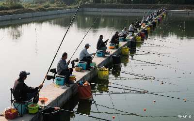 鲶鱼钩挂虾(鲶鱼挂钩方法)