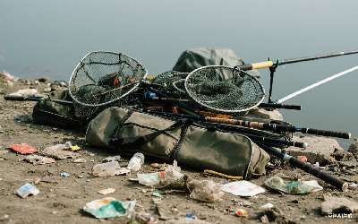 老鬼夏季野钓鲫鱼饵料配方(老鬼夏季野钓鲫鱼饵料配方视频)