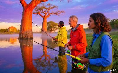 鲫鱼窝料配方水加酒米(鲫鱼窝料配方水加酒米可以吗)(pic1)