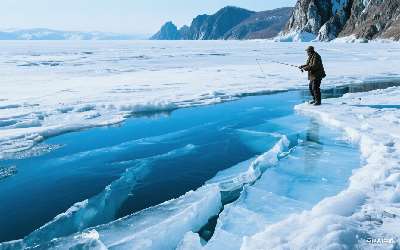 安徽穿透王鱼饵有限公司英文简称(安徽穿透王鱼饵有限公司英文简称是什么)