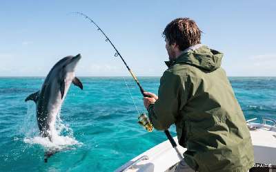 穿透王鲤聚全文免费阅读最新未删减在线看完整(穿透王鲤透二号钓鲤鱼配方)